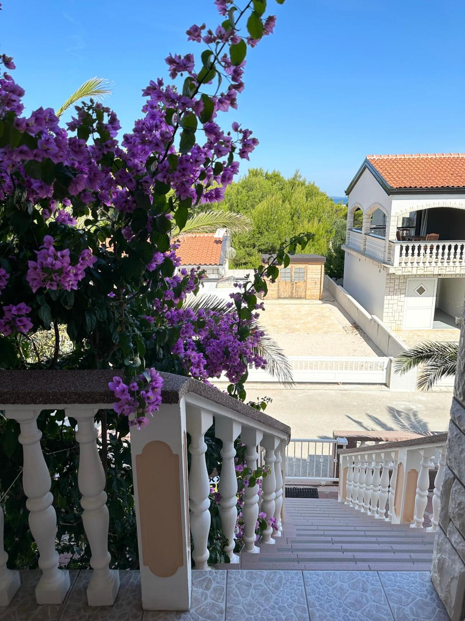 Apartmani Bermanec Vir Extérieur photo
